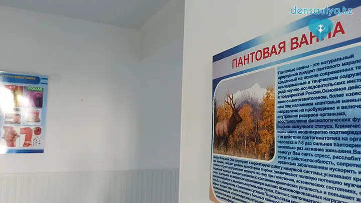 Дархан Сарыағаш. Циркулярлы душ Дархан Сарыағаш шипажайының минералды суына негізделген ем. Емдік корпусы