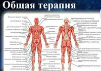 Терапевт дәрігердің қабылдауы