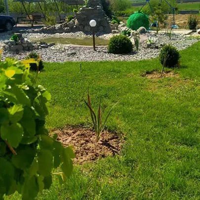Санаторий Усман Сарыагаш. Газон, двор Санаторий Усман Сарыагаш. Газон, двор